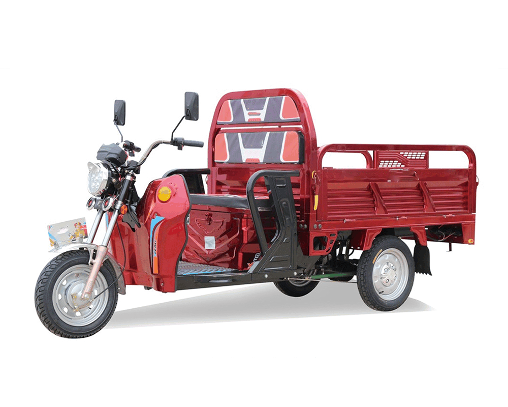 3PB2/SY1500DZH-2D Electric Cargo Tricycle