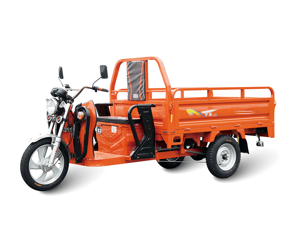 3PB3/SY1500ZH-3D Electric Cargo Tricycle