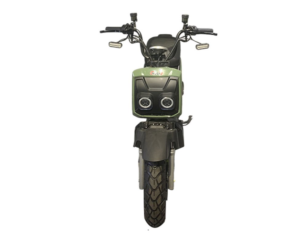 DZ102 EEC E-motorcycle 图3