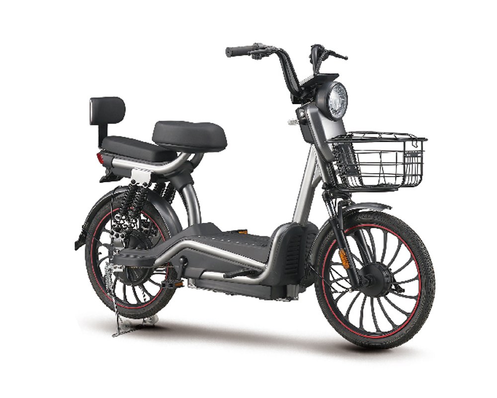 ZYF-800 (EEC) E-motorcycle